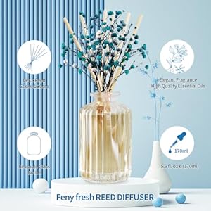Reed diffuser set with preserved real flowerreed diffuser sticks59ozcashmere vanilla scent fragrance essential oil scented diffuser for bedroom bathroom home decoroffice decor  urban country home decor