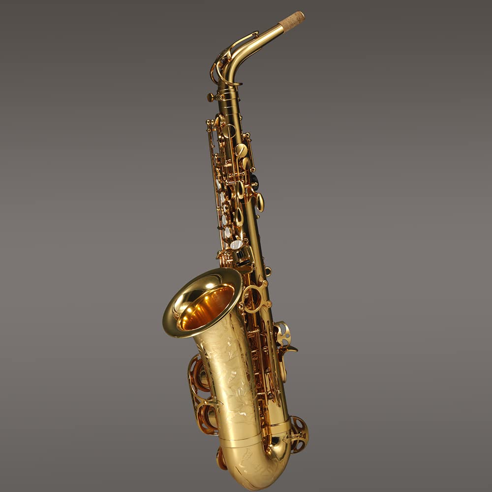 Rollins Saxophone alto RSA-X10,E flat Selmer 54-Key,Matière laiton, Or