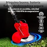 Guiro pasto 8 Imagen adicional