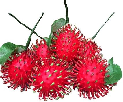 Artificial Rambutan Fake Fruit  Pack of 6