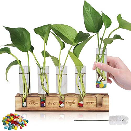 Renmxj Plant Gifts for Wife - Birthday Gifts for Wife - Plant Propagation Station Home Garden Office Decoration