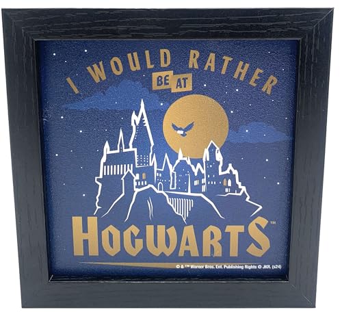 Harry Potter affiche murale encadrée rigide pour éviter les posters cornés