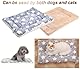 2 Stück Warme Meerschweinchen Decke,30*20cm Hamster Kaninchen Bett Matte,warme flauschige Welpen Fleecedecke,Bettmatte für Meerschweinchen,Geeignet für Hamster, Kaninchen, Chinchillas, Kätzchen usw.