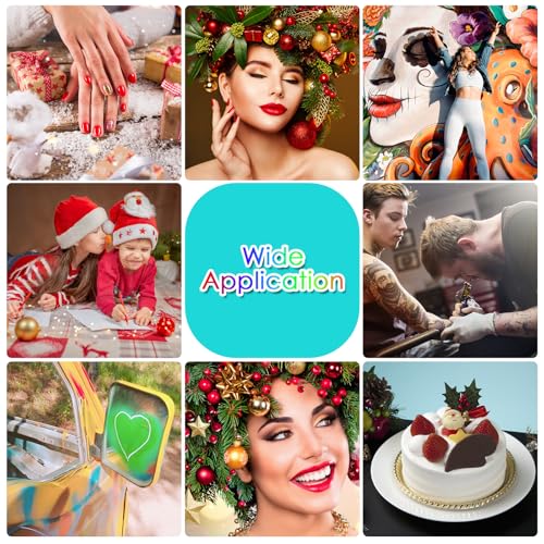 rhinowisdom Tinta para aerógrafo - Conjunto de tinta para aerógrafo de 24 cores, cores opacas e bril