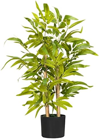 Ficus kopen? Klassieke groene kamerplant