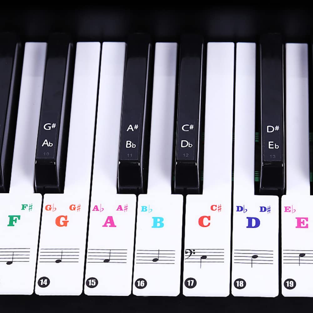 Alnicov Piano Keyboard Stickers for 88/61/54/49/37 Keys,Leave No Residue,Removable Colorful Large Bold Letter Piano Stickers for Piano Beginners Learning Piano or Keyboard - Image 4