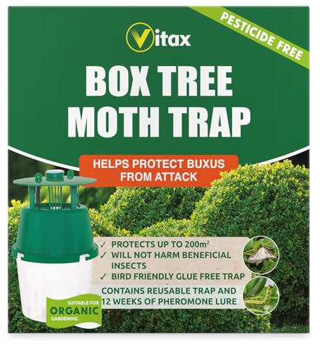 Vitax Box Tree Moth Trap Protects Buxus Box Hedge 200 Square Metres of Coverage Bird and Pollinator Friendly