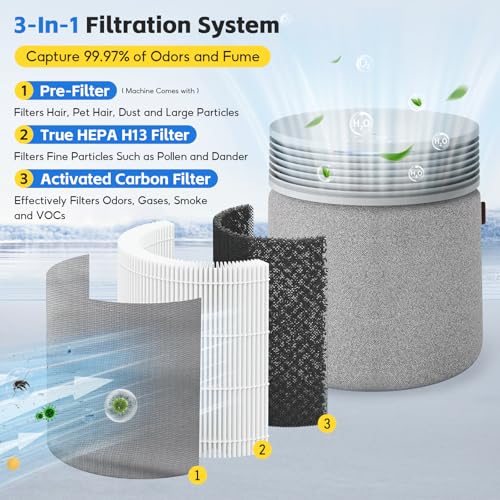 Image of 2-pack HEPA Filter Replacement, Compatible with BLUEAIR Blue Signature Large Model SP4i Air Purifier for Rooms & Home, Clean Pollen, Dust, Smoke, Pet Hair & Odors