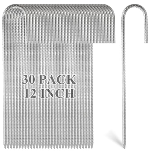 MIVIDE 30pbN 12C` bLS؍Y JtbN ϋv JtbN OhAJ[ J[uX`[T|[gK[fXe[N tFXY Lms[AAXCOZbgp̃`[|CgGht