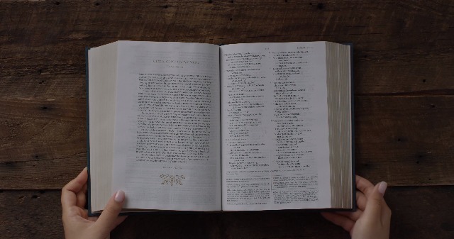 Image of ESV Women's Study Bible (Cloth over Board, Dark Teal): Holy Bible, English Standard Version