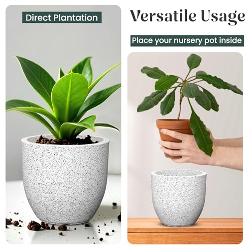 Image of YUCCABE ITALIA FOXB PCUP 10 INCH Pots for Plants Highly Durable Polymers Lightweight Indoor Outdoor Flower Pot Gamla Tree Planter Container Planters for Living Room, Balcony, Garden, Office
