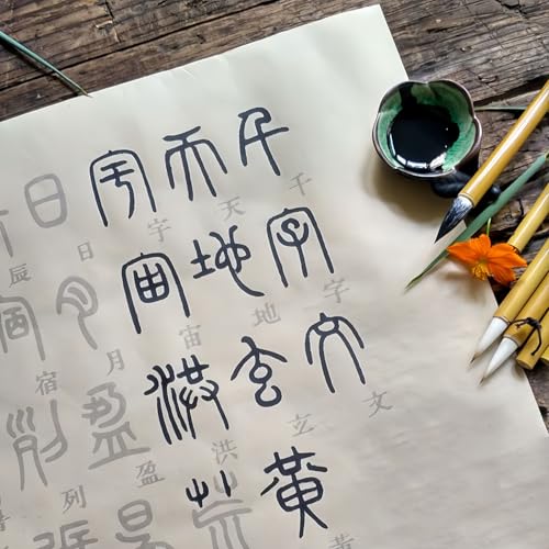 写経用紙 千字文小篆 なぞり書き写経冊 字が大きい 書道練習 毛筆 完全な1千字 11メートルの長巻 (小篆千字文)の商品画像（Amazon）