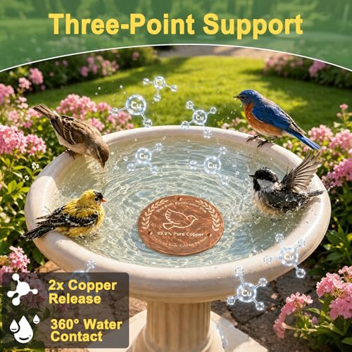 FYDGTPI Bird Bath Copper Disk 2 Pack, 99.99% Pure Copper Bird Bath Cleaner with Triple-Point Support, 4 Inch Thick Chemical-Free Natural Water Cleaner for Outdoor BirdBaths, Bowls, All-Season Use by FYDGTPI - Image 2