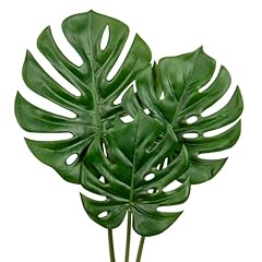 Monstera#pe 3pcs