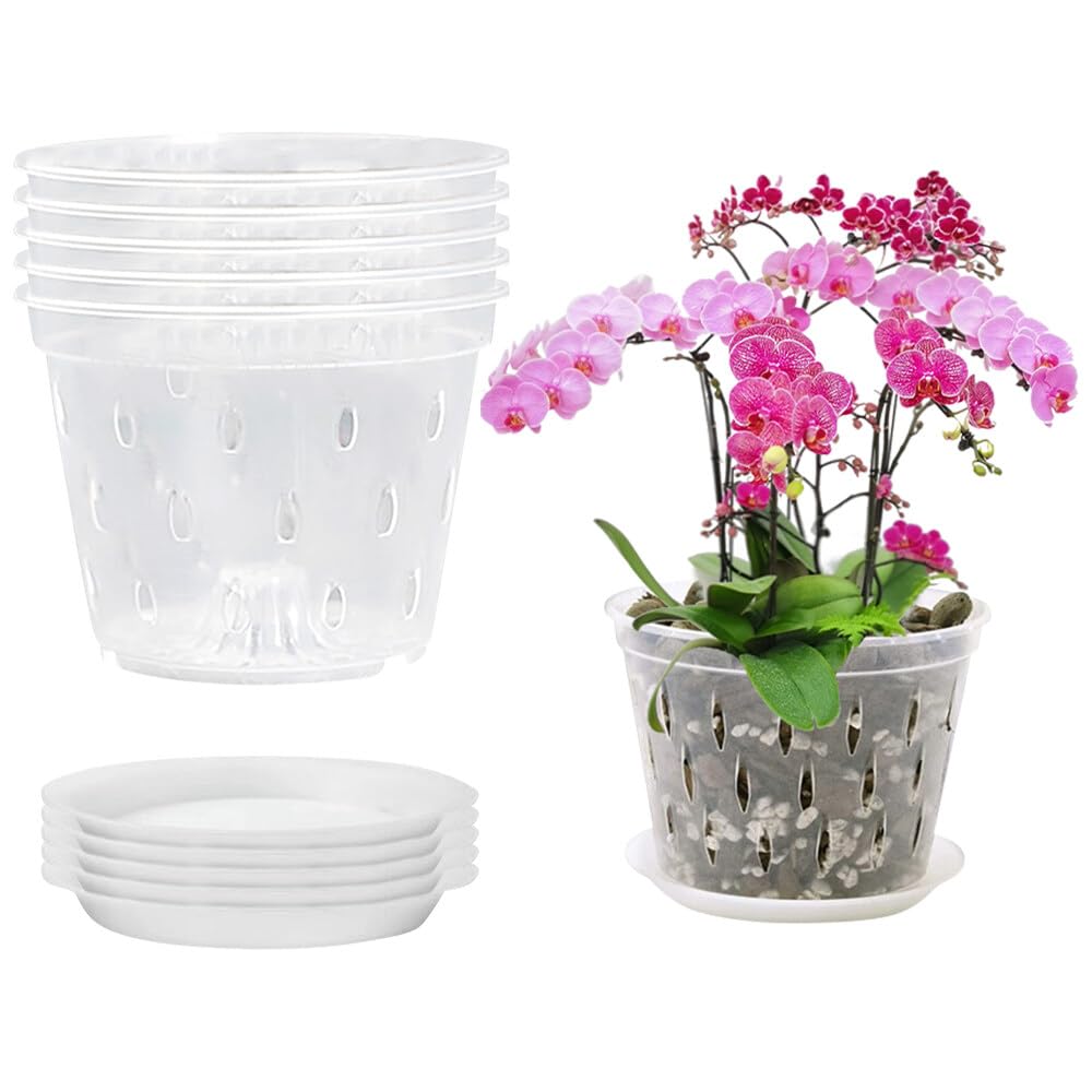 5 Pack Clear Orchid Pots, 14CM Plastic Plant Pots With Holes and Saucers, Nursery Pots for Plant and Repotting, Home, Office
