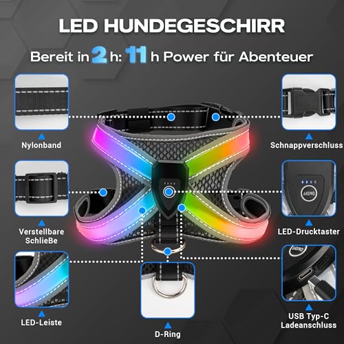 WATSABRO LED Hundegeschirr Set, mit 1,5m Reflektierende Hundeleine, Verstellbare Aufladbares Beleuchtetes Hundegeschirr für Nachtspaziergänge(Nicht geeignet für kleine Hunde wie Chihuahuas)