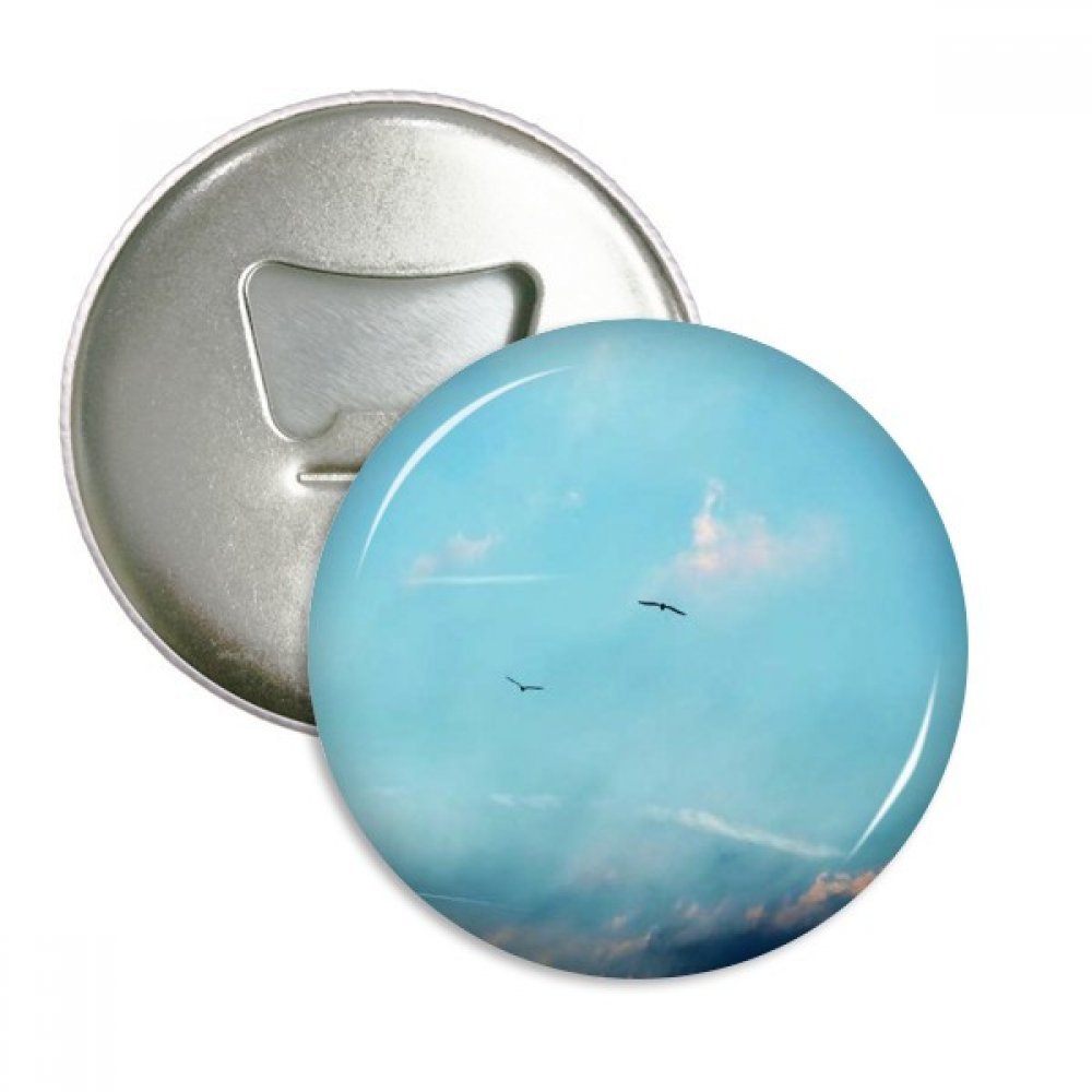 Cadeau argent aimants pour réfrigérateur motif oiseau ciel blanc lot de 3 badges ronds