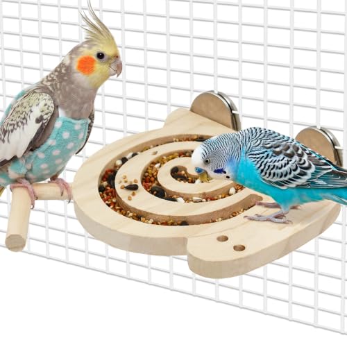 Bird Foraging Toys