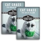 Cat Grass Seeds for Planting – Grow Pet Greens Indoors or Outdoors – Heirloom Non-GMO Tri Grain Blend – Survival Garden Seeds (2 Pack, Seed Only)