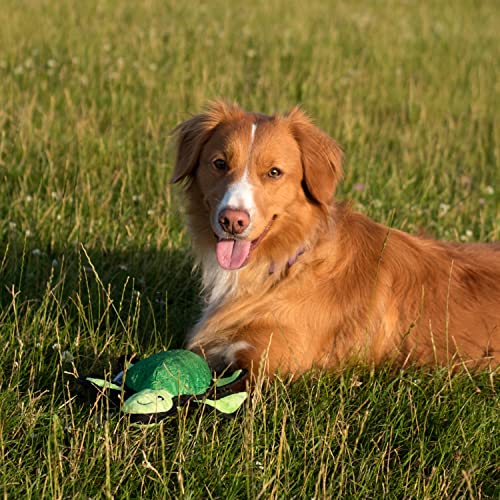 Beco Dog Toys for Large Dogs - Rough & Tough Recycled Dog Toy with Rope, Orangutan, Large - Image 4
