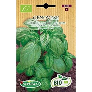 Germisem ECBIO1101 Organisch Genovese Basilicum Zaden 2 g, Meerkleurig