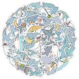 Vinyle imperméable qui reste frais et lumineux : fabriqués à partir de vinyle PVC durable avec un revêtement de protection laminé, ces autocollants résistent aux éclaboussures quotidiennes, à la condensation et à la manipulation, les aidant à rester éclatants et propres au lieu de paraître usés ou ternes au fil du temps.