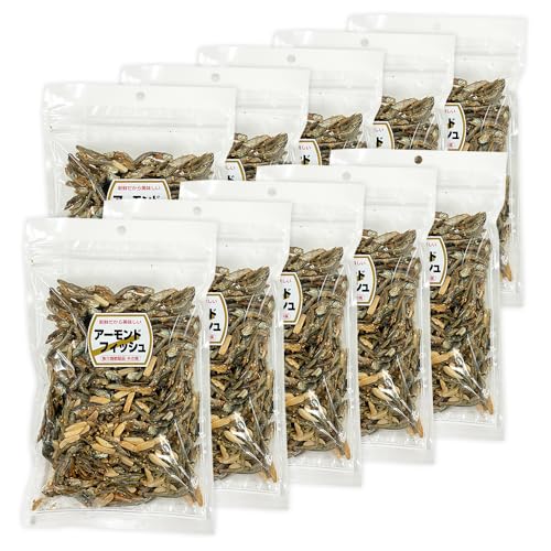 ACXvU A[h 300g×10 k{ A[htBbV Ɩp ϊ Hׂϊ CV A[h َq ܂ ܂  ̂܂