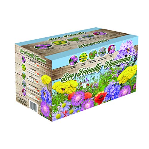 GreenBrokers Bee Friendly & Wild Bulb & Seed Assortment-Boxed Gift Pack-Summer Varieties Bulbs & Seed, Bees & Wild Flowers