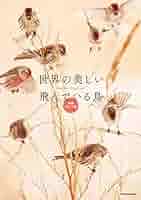 世界の美しい飛んでいる鳥 愛蔵ポケット版 | 柴田 佳秀, 澤井 聖