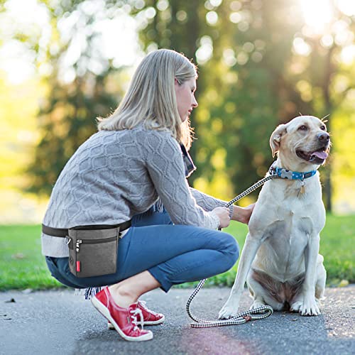 AEMIAO Leckerlibeutel für Hunde mit Magnetverschluss, Futterbeutel Hundetraining mit Herausnehmbaren Innentasche, Multifunktionaler Leckerlitasche für Hunde mit Kotbeutelspender,Grey