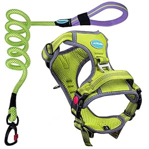 No Pull Dog Harness and Leash Set