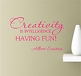 Creativity is Intelligence Having Fun 22x14 Pink Vinyl Wall Art Inspirational Quotes Decal Sticker