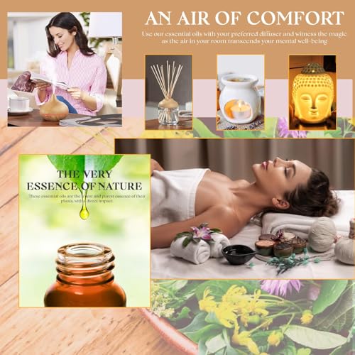Image of Allin Exporters 6 in 1 Aroma Oil Combo Pack- Lavender, Rose, Citronella, Eucalyptus, Peppermint, Sandalwood (6 x 15ml) Pure Essential Oils for Aromatherapy, Home Fragrance, Diffusers & Candles