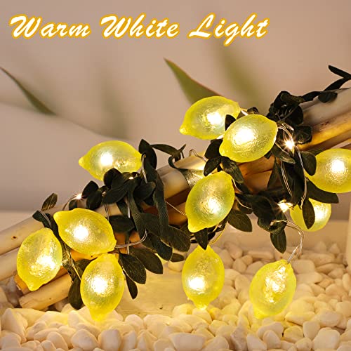 Image of 3D Lemon LED String Lights USB /Battery Operated Light String with Remote Timer 10FT 40LEDs Lemon Light Bulbs with Branches Leaves Fairy Lights for Bedroom Birthday Garden Party Decorations