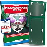 Pflaumenwickler Pheromonfalle [2 Stück] für Früchte ohne Obstmaden, Effektive...