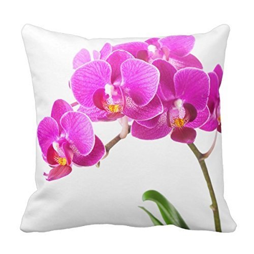 Decors Pink Purple Dendrobium Orchid Tropical Flower Throw Pillow Case Cushion Cover Home Sofa Decorative 18 X 18 Pillow-image-40