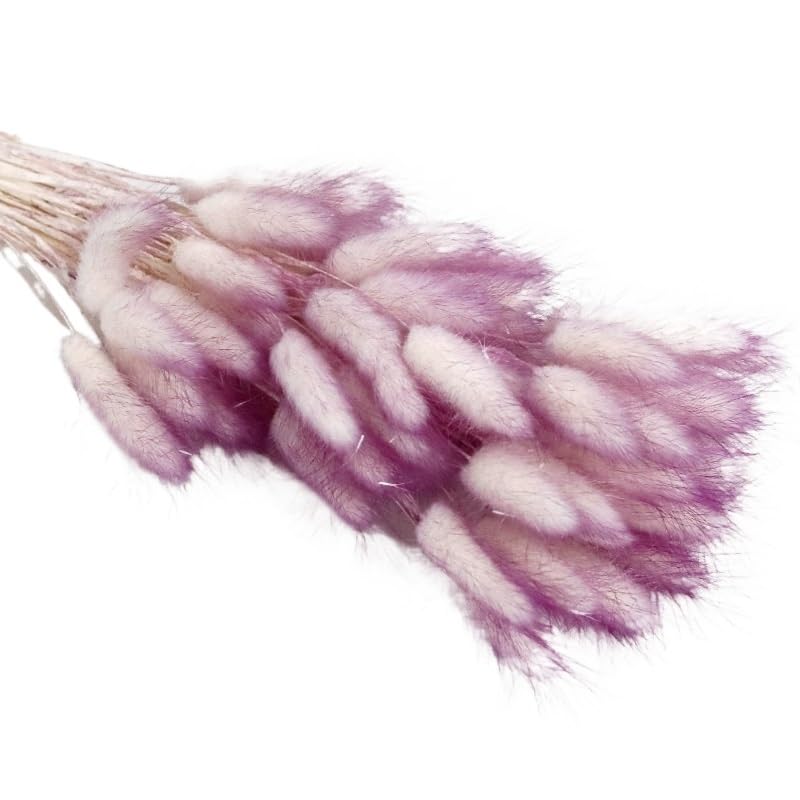 Ramo de Pasto Pampas Seco Natural 30 piezas Marrón miniatura 3