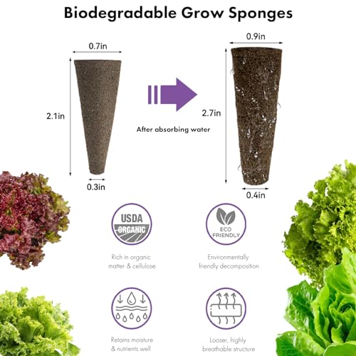 LYKOCLEAN Salad Romaine Lettuce Seed Pods for AeroGarden,Ahopegarden, iDOO Hydroponics Growing System,350 Seeds+ Including American Lettuce,Paris Island Cos Lettuce,Buttercrunch Lettuce (12-Pods) — view 5