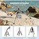 NEEWER Mini Stativ für Kamera mit 360°Kugelkopf Aluminiumlegierung 20/ 50cm 1/4 Arca Type QR Plate,tragbares Desktop Reisestativ für DSLR Kamera Video Camcorder, maximale Belastung: 11lb/5kg