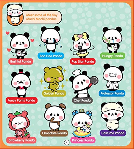 Hello My Name Is Mochi Mochi Panda