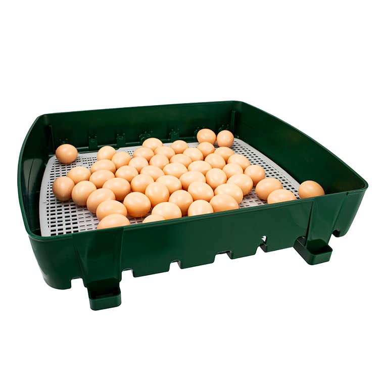 Incubadora digital semiautomática ET49 para huevos - River Systems - capacidad 49 huevos de tamaño mediano o 196 pequeños