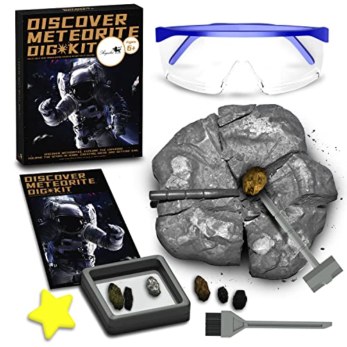 Regulus Kit de excavación de meteoritos - Excavar 6 muestras de meteorito, Meteorito de Campo Del Cielo, Meteorito Piedroso, Kits de ciencia STEM para entusiastas de la mineralogía Cover