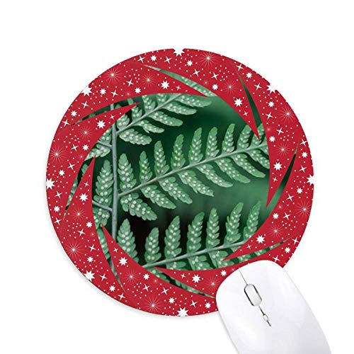 t̐AAR̎ʐ^ ~`S̐Ԃ̃zC[pbh