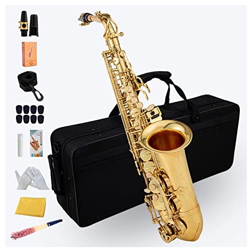 Aisiweier Gold E Flat Alto Saxophone Brass Engraved Eb E-Flat Natural White Shell Button Wind Instrument with Case Belt Brush