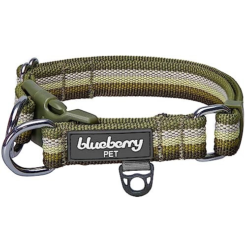 Blueberry Pet 3M Reflective Dog Collars | Adjustable Dog Collar w...