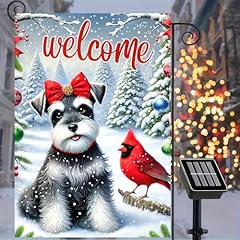 Welcome, Cardinal Schnauzer