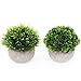 UltraOutlet 2 Pack Small Artificial Plants Centerpiece in Pot Fake Mini Decorative Potted Topiary Shrubs for Office, Home, Inddor, Room Decoration, Green