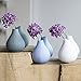 Chive ‘Frost’ Ceramic Flower Vase — Set of 6 Beautiful Small Bud Vases for Flowers & House Plants — Perfect Shelf Centerpieces and Living Room Decor — Assorted Colors