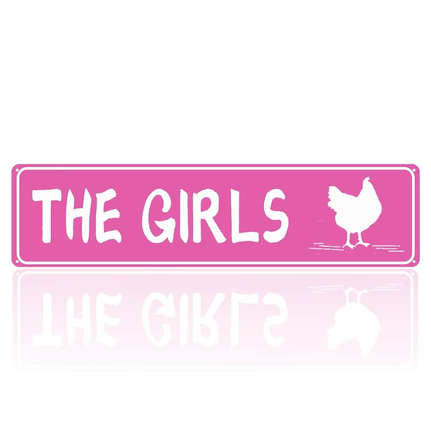 The Girls Funny Chicken Coop Metal Sign Outdoor 4x16 Inch Chicken Decor Yard Sign Hen House Decor