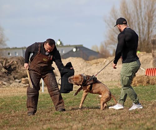 Dingo Gear Schutzärm mit Griff French-Material Nylcott Handarbeit Universal Schutz für Training Hunde Beißtraining Härte Medium Schwarz Jack IGP S00532